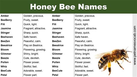 male honeybee crossword|23 Names That Mean Honey Bee .